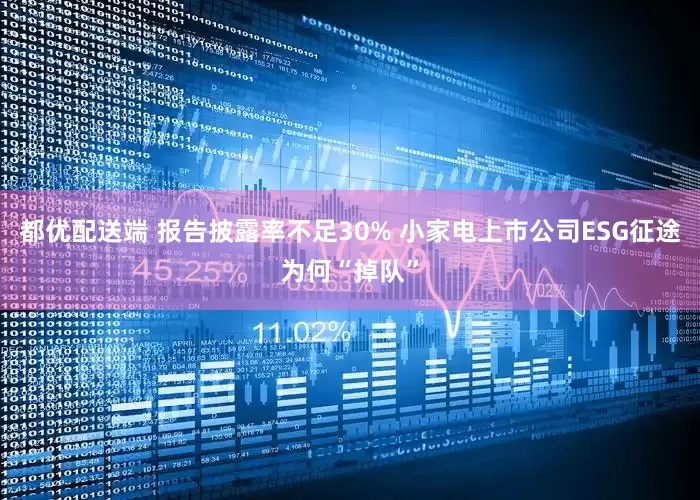都优配送端 报告披露率不足30% 小家电上市公司ESG征途为何“掉队”