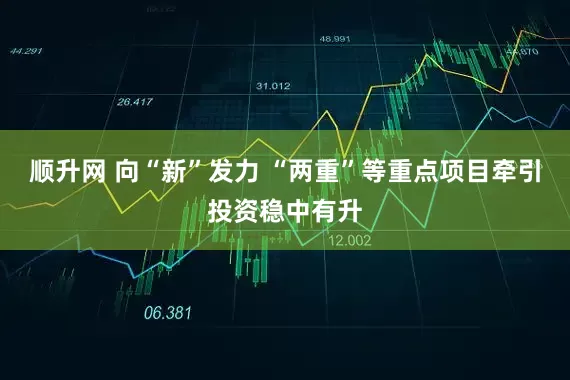 顺升网 向“新”发力 “两重”等重点项目牵引投资稳中有升