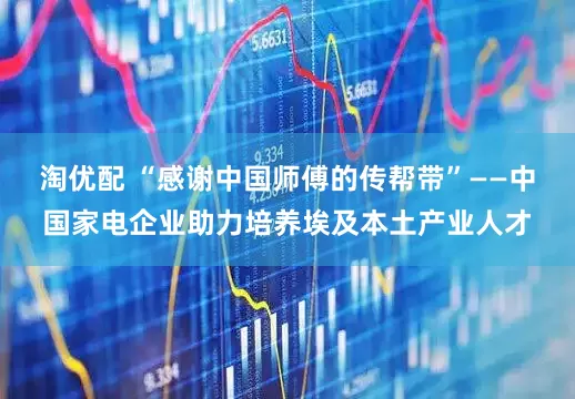 淘优配 “感谢中国师傅的传帮带”——中国家电企业助力培养埃及本土产业人才