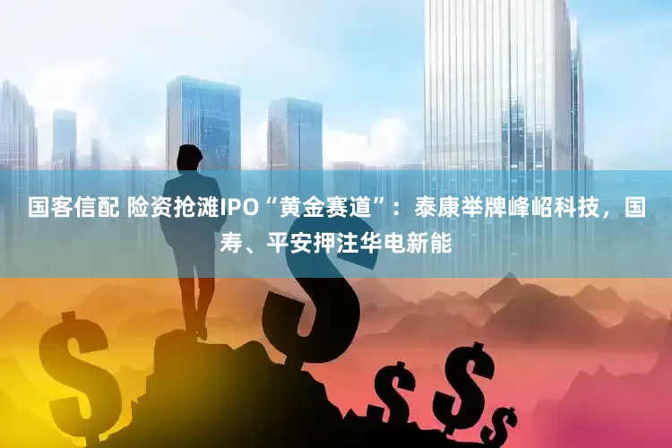 国客信配 险资抢滩IPO“黄金赛道”：泰康举牌峰岹科技，国寿、平安押注华电新能