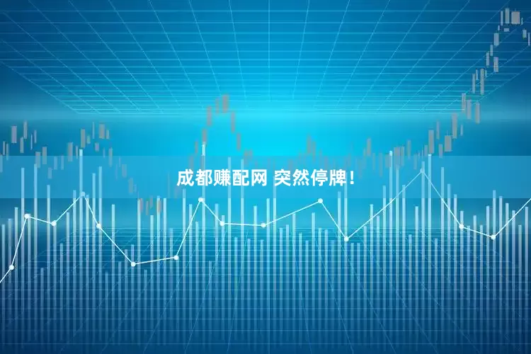 成都赚配网 突然停牌！