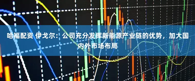 哈福配资 伊戈尔：公司充分发挥新能源产业链的优势，加大国内外市场布局