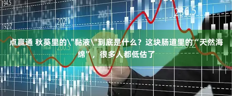点赢通 秋葵里的